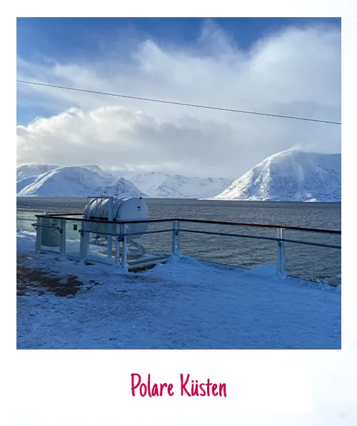Polare Küsten